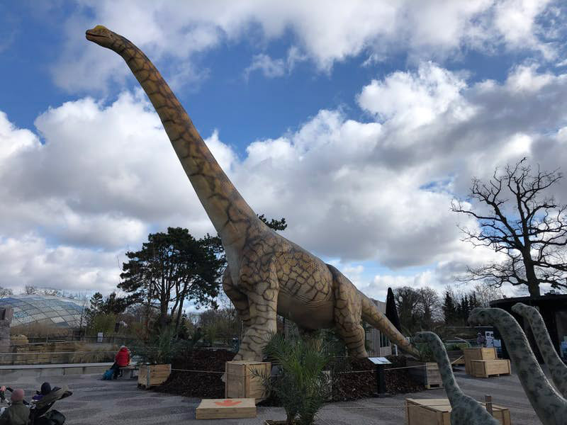 丹麥哥本哈根動物園