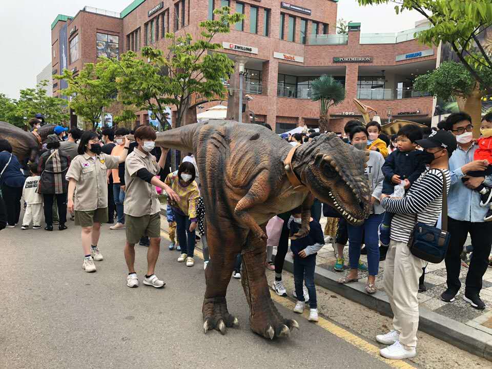 韓國(guó)樂天客戶反饋效果